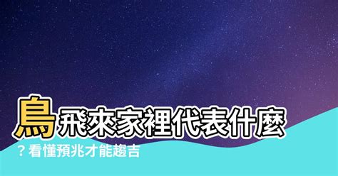 鴿子來家裡代表什麼|【鴿子飛來家裡代表什麼】鴿子飛來家裡代表什麼？驚天大徵兆，。